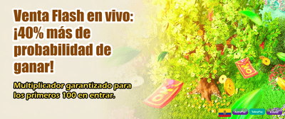 Sorteos diarios disponibles