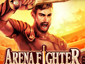 Arena Fighter screenshot